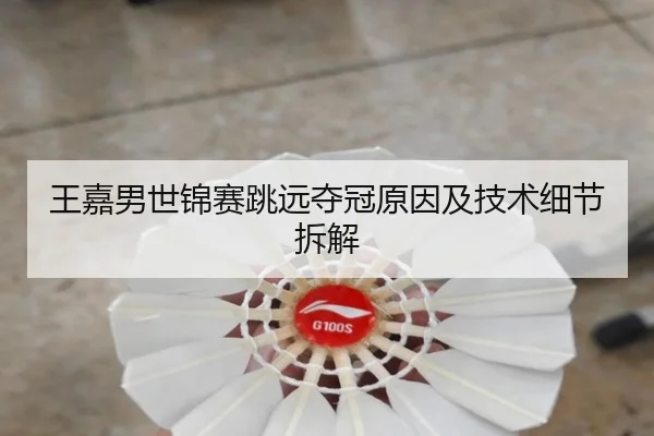 王嘉男世锦赛跳远夺冠原因及技术细节拆解（feisu）